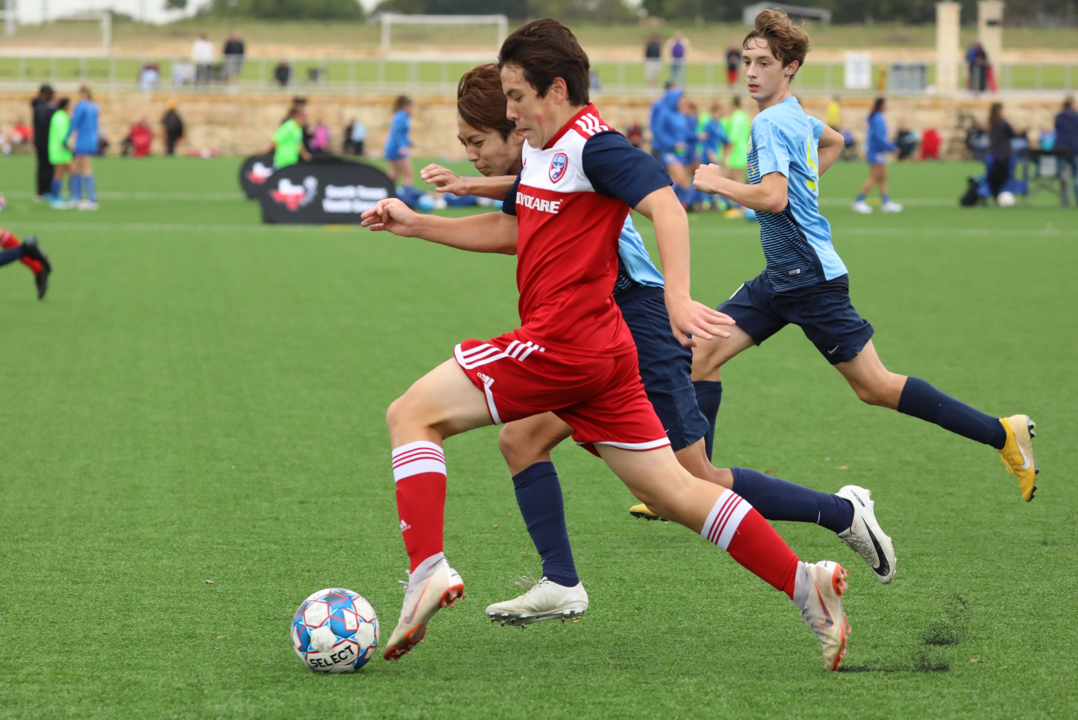 启用替补甚 启用替补甚