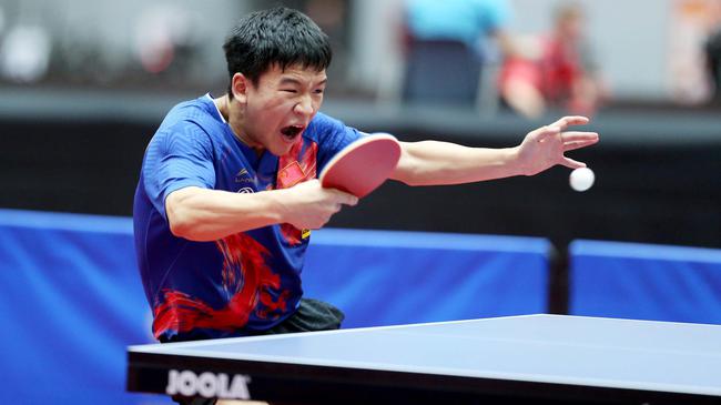 乐部的整体 乐部的整体