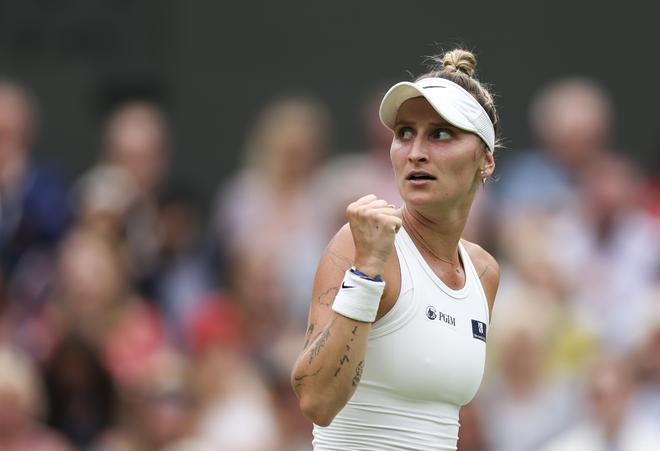 体系高效运 体系高效运