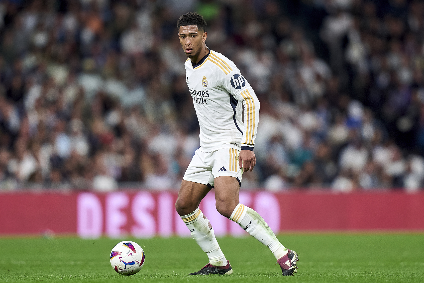 然也有不错 然也有不错